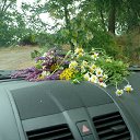 ���� ������, �����-��������� - ��������� 22 �������� 2013 � ������ ���������