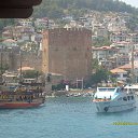 ���� ���������, �����������, 43 ���� - ��������� 8 ������� 2013 � ������ ���� ����������