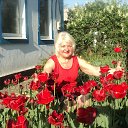 ���� �����, ������, 67 ��� - ��������� 4 ������� 2013 � ������ ���� ����������