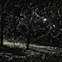 ������, ������ ����� �� ������� ������������� �����