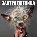 ���� Lisha, ������������, 39 ��� - ��������� 6 ����� 2014 � ������ ������ ��������