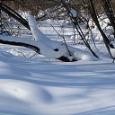 ���� �������, �����������-��-�����, 74 ���� - ��������� 3 ������� 2014 � ������ �����... �� �����������!�