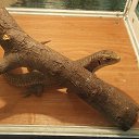 ���� ��������, ��������, 57 ��� - ��������� 17 ������� 2014 � ������ ���� ����������