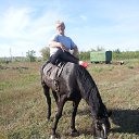  , , 67  -  11  2013   ,    .