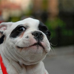 ����������, ������, 35 ���