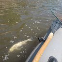 ���� ����, ������� - ��������� 10 ������ 2014 � ������ ���� ����������