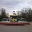  D.s., , 38  -  2  2013   10  2013, 