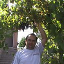 ���� �����, �����, 57 ��� - ��������� 30 �������� 2013