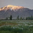 ���� Anzhelika, ������, 56 ��� - ��������� 10 ������� 2013 � ������ �� ��� � ����