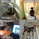 ���� ����, ��������� - ��������� 31 ������ 2014 � ������ ������ ��������