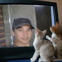 ���� Arif, ������, 52 ���� - ��������� 9 ������ 2014 � ������ ���� ������ ����������