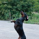 � -������!
 �� ������� ���� ����������