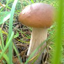 ���� ���������- ���� �������� !!, ������ - ��������� 19 �������� 2013 � ������ ������ ����� !!! 18.09.2013 � !!!�