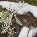 ���� Roman, ���� - ��������� 1 ������ 2014 � ������ ��������� - ������. �����.�