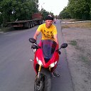 ���� ����, ��������, 43 ���� - ��������� 11 ������� 2013