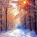 ���� ���������)), ����� - ��������� 4 ������ 2014 � ������ ���� ����������