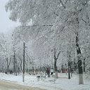 ���� ����, �����-���������, 36 ��� - ��������� 11 ������� 2014 � ������ ���� ����������