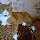 ������� ��������� ��� � ����� �� ������� ���� �� ����