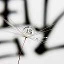 ���� ����, �������� - ��������� 4 �������� 2013 � ������ ��������, �����������