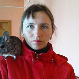 ���� T�����, ������, 48 ��� - ��������� 30 ������� 2013