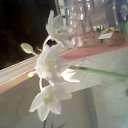 ���� ���������, ������ ���, 59 ��� - ��������� 19 ������� 2013 � ������ �27.11.2013 �.�