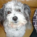 ���� �����, �������-�����, 60 ��� - ��������� 3 ������� 2014 � ������ ���� ����������