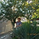 ���� �����, �����-���������, 64 ���� - ��������� 11 ������� 2013 � ������ ���� ����������