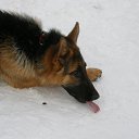 ���� �������, ����, 64 ���� - ��������� 17 ������� 2013 � ������ ���� ����������