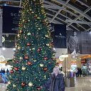 ���� ����, ������� - ��������� 10 ������ 2014