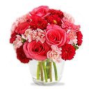 ���� �����, ������������, 48 ��� - ��������� 6 ����� 2014 � ������ ������ ��������