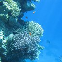 ���� �������, �����-���������, 54 ���� - ��������� 28 ������� 2013 � ������ ���� ����������