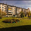  , , 46  -  3  2013   . 