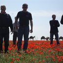 ���� C�����, ������ - ��������� 5 ������� 2014 � ������ ���� ����������