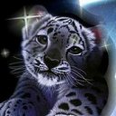 ���� �����, ������-��-����, 26 ��� - ��������� 17 ������� 2013