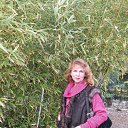 ���� �������, ����������, 66 ��� - ��������� 30 ������� 2013 � ������ ���� ����������