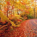 ���� ����, ������ - ��������� 13 ������� 2013 � ������ ���� ����������