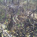 ���� �������, �����������, 32 ���� - ��������� 31 ������� 2013 � ������ ���� ����������