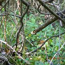 ���� ������, �����, 54 ���� - ��������� 21 ������� 2013 � ������ �����2013�