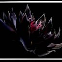 ���� Ruslan, ���������, 42 ���� - ��������� 23 ������� 2013 � ������ ���� ����������