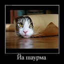 ���� Azamat, ���, 39 ��� - ��������� 22 �������� 2013