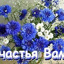 ���� �������, ���������, 64 ���� - ��������� 16 ������� 2014 � ������ ���� ����������