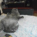 ������� �����!!! 15 �� ���� �������� �� ������!!! �� ������� �������