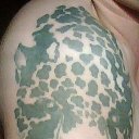 ���� ����, �����, 47 ��� - ��������� 8 �������� 2013 � ������ ���� ����������