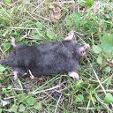 ���� �����, ������, 54 ���� - ��������� 7 ����� 2014 � ������ ���� ����������