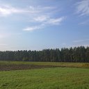 ���� Tarik, ���� - ��������� 11 ����� 2014 � ������ ���� ����������