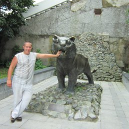 ���� ���������, ����, 44 ���� - ��������� 9 ������ 2014