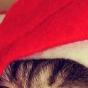 ���� ����, ������, 56 ��� - ��������� 11 ������� 2013 � ������ ������ ��������