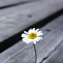 ����� ����� , � ������ "������" ... �� ������� ���� ����������