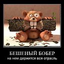 ���� Vasya, ����, 48 ��� - ��������� 15 ������ 2013 � ������ �New1�