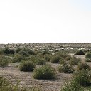 ���� �����, �������, 68 ��� - ��������� 29 ������ 2013 � ������ ����� ��������